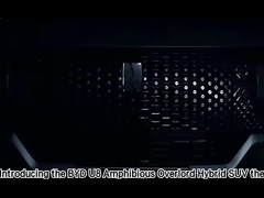 Автомобиль BYD Dolphin Hatchback